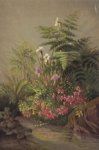 Bloemen naast een stroom
